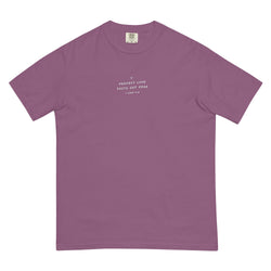 Perfect Love, Christian T-shirt Embroidered, Bible Verse Shirt, Comfort Colors