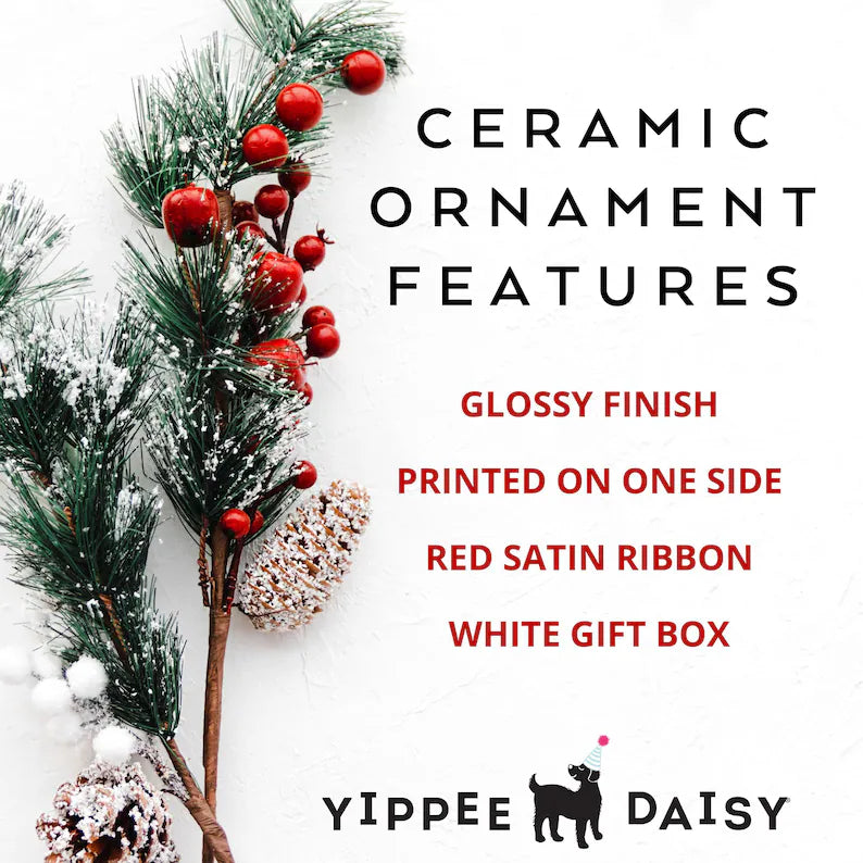 I Saw That Jesus Ornament 2025, Funny Christian Christmas Decoration, Secret Santa or White Elephant Gift